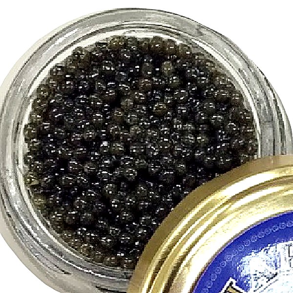 キャビア・レジーナ アルジェント イタリア ヴェネト州産 20g