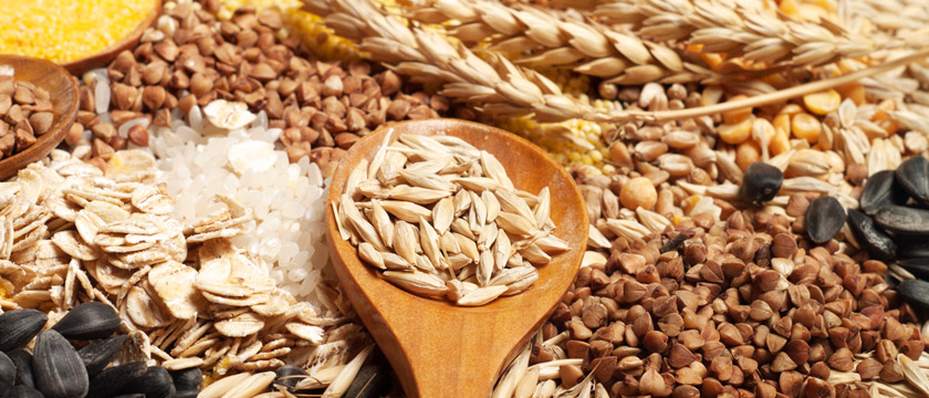 穀類・ドライフルーツ イタリア食材卸売・配達のブォングスト